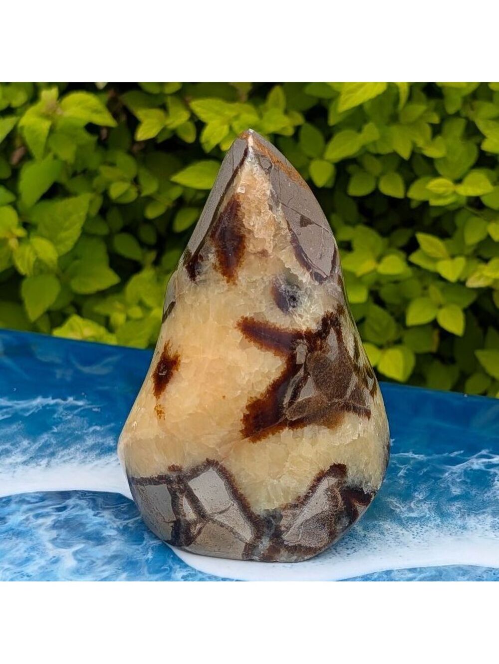 UV Reactive Septarian Flame | Dragon Stone Crystal | 4.25" Freeform